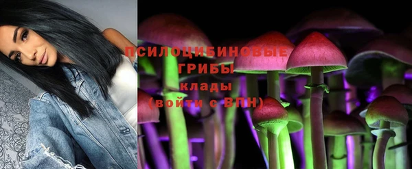 Альфа ПВП Верхнеуральск