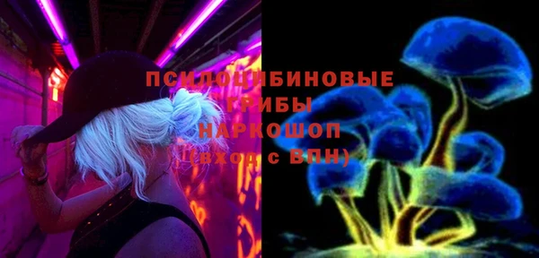 СК Верея