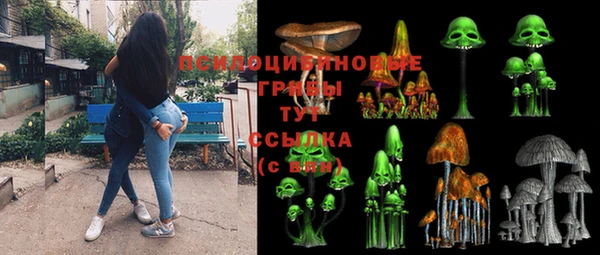 СК Верея